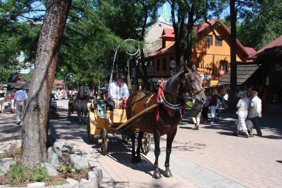 From Krakow: Slovakia Treetop Walk, Zakopane & Thermal Spa - Zakopane, lunch, and Krupowki Street
