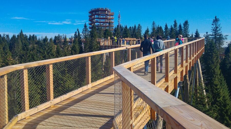 From Krakow: Slovakia Treetop Walk, Zakopane & Thermal Spa - My verdict: book it for variety, not for slow sightseeing