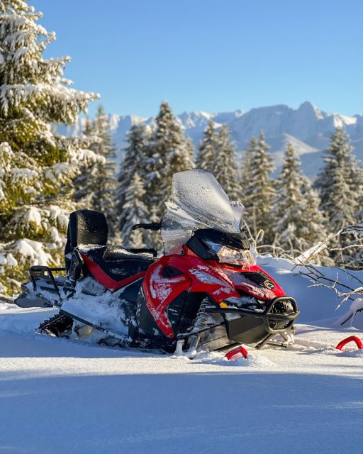 From Krakow: Snowmobile adventure and Thermal Baths tour - Who should book this experience?