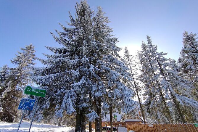 From Krakow: Zakopane & Chocholowskie Thermal Baths - Why this Krakow day trip works