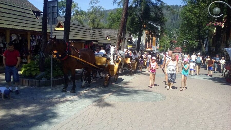 From Krakow: Zakopane & Hot Thermal Springs Private Tour - Should you book this Zakopane tour?