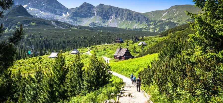 From Krakow: Zakopane & Hot Thermal Springs Private Tour - Who will enjoy this day most