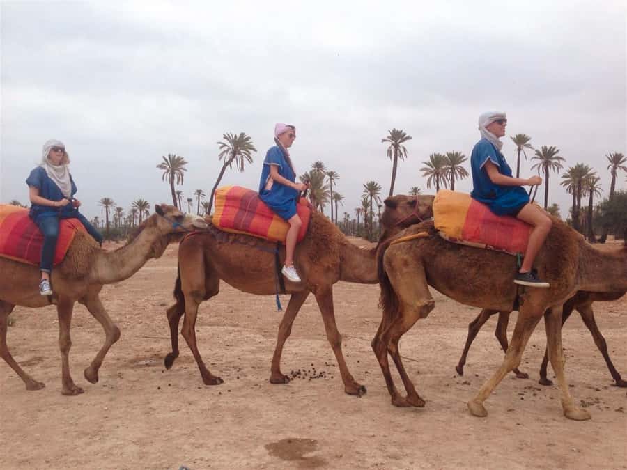 From Marrakech: Camel Ride, Quad Bike & Spa Full-Day Trip - Key points to know before you book