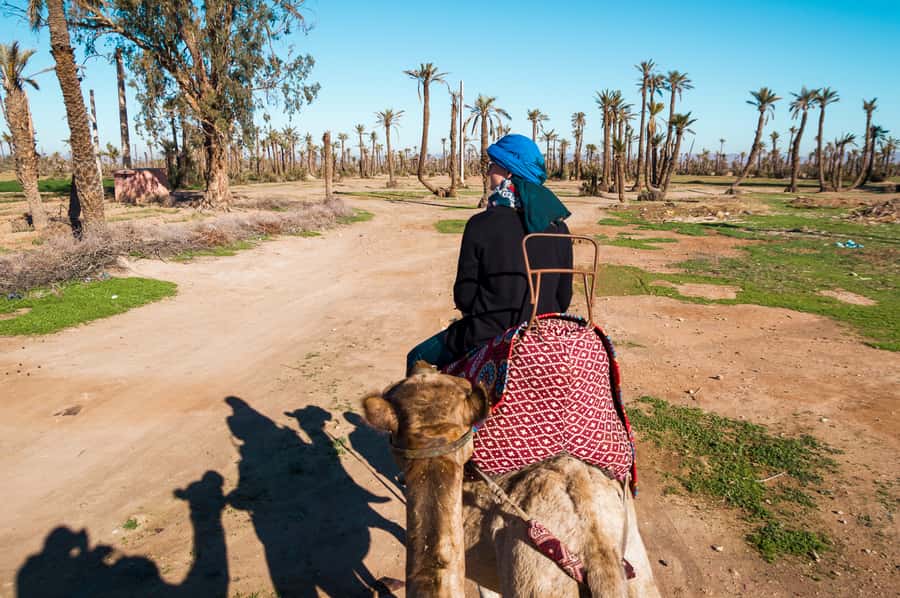 From Marrakech: Camel Ride, Quad Bike & Spa Full-Day Trip - From Marrakech streets to the Palmeraie