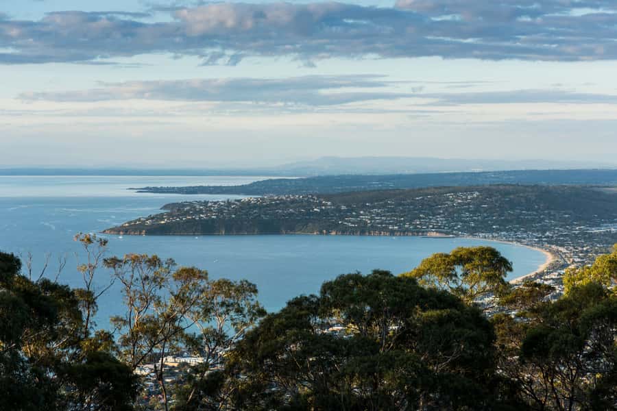 From Melbourne: Peninsula Hot Springs & Bathing Boxes Tour - Who will enjoy this day most