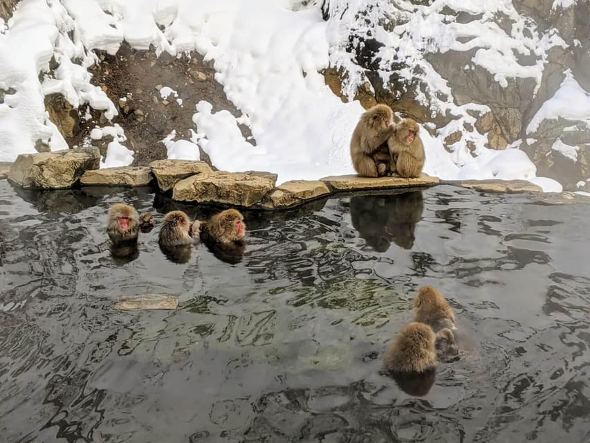From Nozawa Onsen: Snow Monkeys and Zenko-ji Day Trip & Sake - Zenko-ji, Nagano’s major temple visit