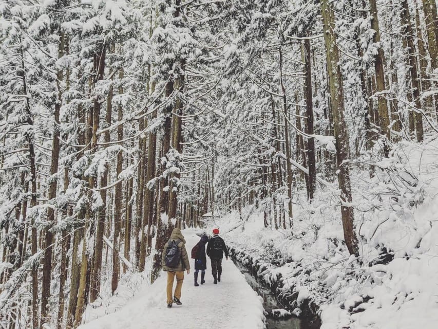 From Nozawa Onsen: Snow Monkeys and Zenko-ji Day Trip & Sake - The morning ride from Nozawa Onsen