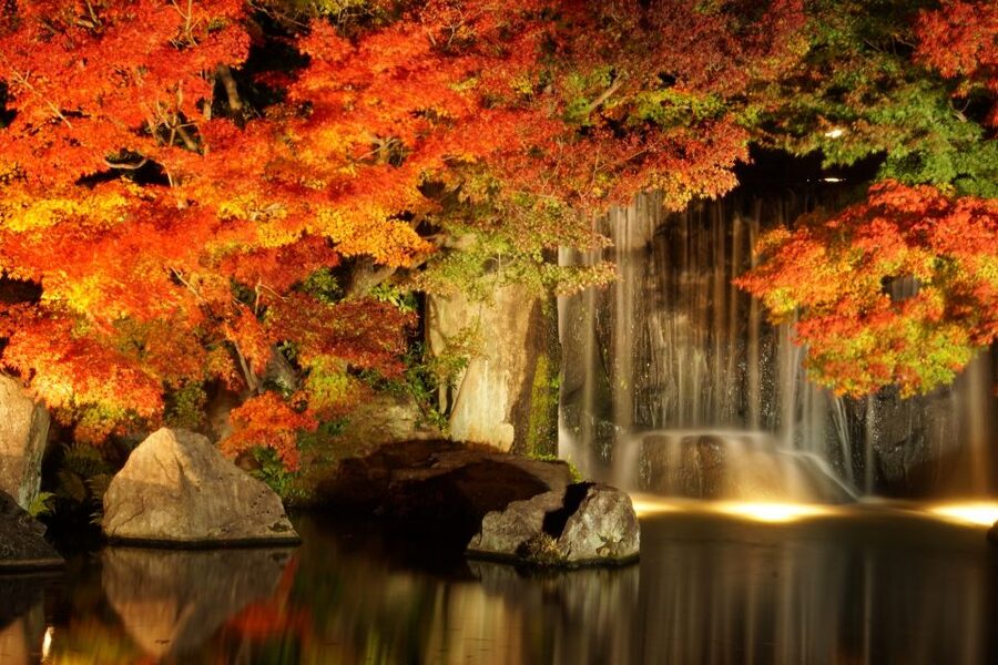 From Osaka: Himeji Castle, Arima Onsen & Mt. Rokko Day Tour - Who should book this tour?