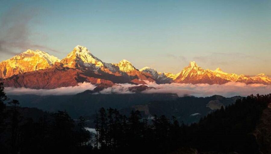 From Pokhara: 5-Day Annapurna Basecamp Trek with Hot Springs - Sinuwa to Deurali, the long forest day