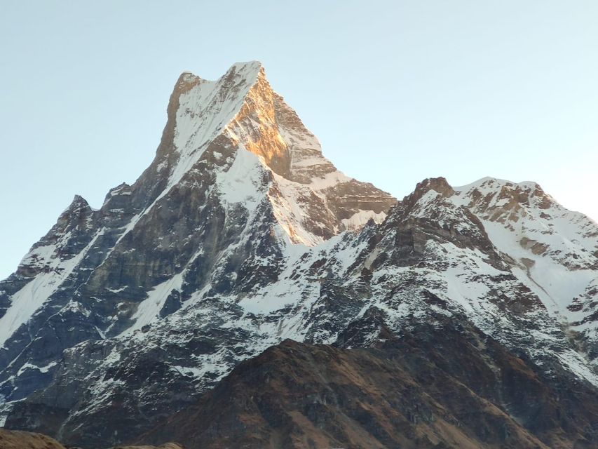 From Pokhara: 5-Day Annapurna Basecamp Trek with Hot Springs - Guides are a major part of the value