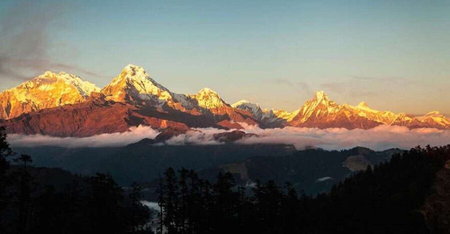 From Pokhara: 5-Day Annapurna Basecamp Trek with Hot Springs - From Pokhara to Sinuwa, forests begin quickly