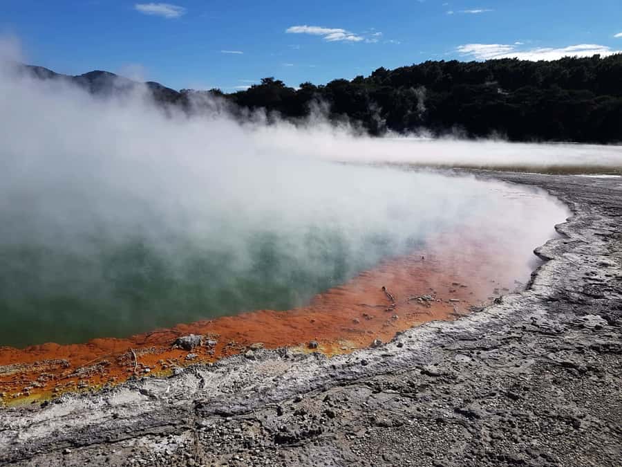 From Rotorua: Wai O Tapu & Waimangu Eco Thermal Morning Tour - Key points at a glance