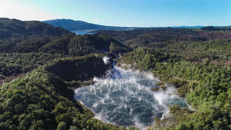 From Rotorua: Wai O Tapu & Waimangu Eco Thermal Morning Tour - Lady Knox at 10:15 AM