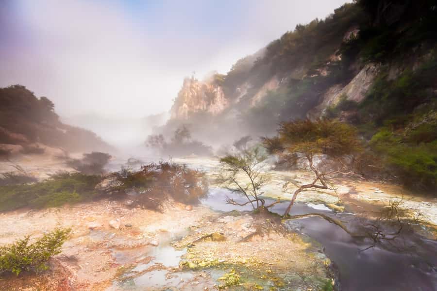 From Rotorua: Wai O Tapu & Waimangu Eco Thermal Morning Tour - The guide makes the difference
