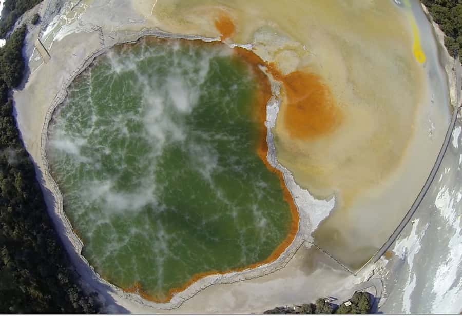 From Rotorua: Wai O Tapu & Waimangu Eco Thermal Morning Tour - What the $131 price really covers