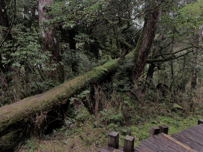 From Taipei: Taipingshan & Jiuzhize Hot Spring Private Tour - Key points to know before you book