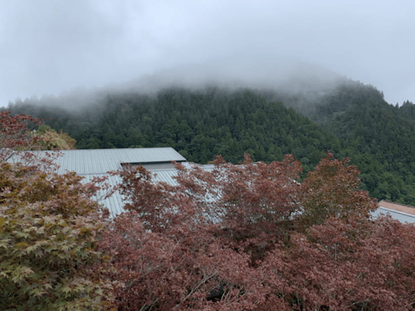 From Taipei: Taipingshan & Jiuzhize Hot Spring Private Tour - Jiuzhize Hot Spring and the nude-bathing question