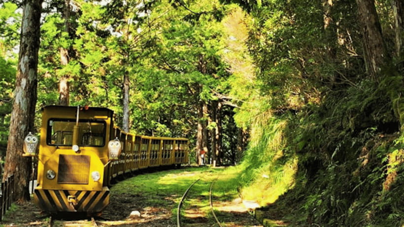From Taipei: Taipingshan & Jiuzhize Hot Spring Private Tour - How the private format changes the day
