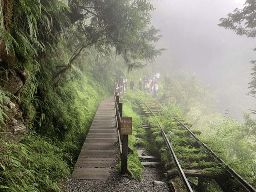From Taipei: Taipingshan & Jiuzhize Hot Spring Private Tour - Who should book this Taipingshan tour?