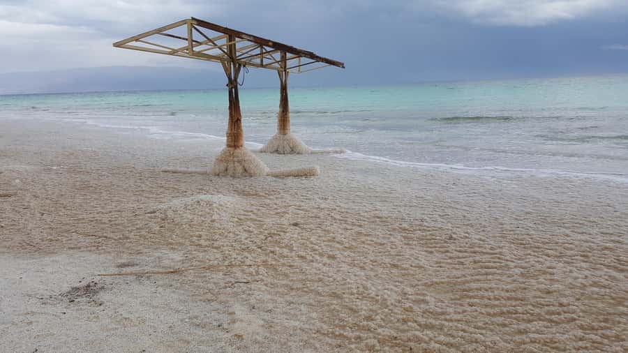 From Tel Aviv: Full-Day Dead Sea Relaxation Tour - Who should book this Dead Sea day?