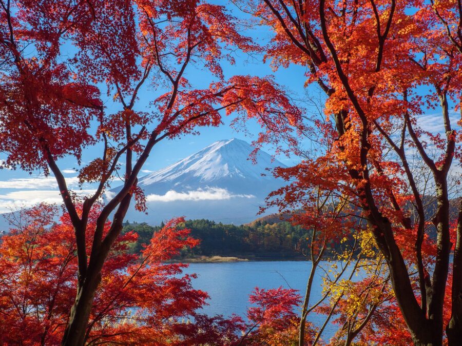 From Tokyo: Private Motorcycle Tour - Fuji, Hakone, Onsen - Shakushi Pass and the choice between roads and museums