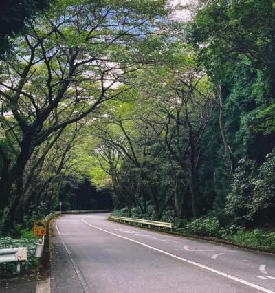 Private Tour to Fuji/Hakone – Onsen, Art, Nature