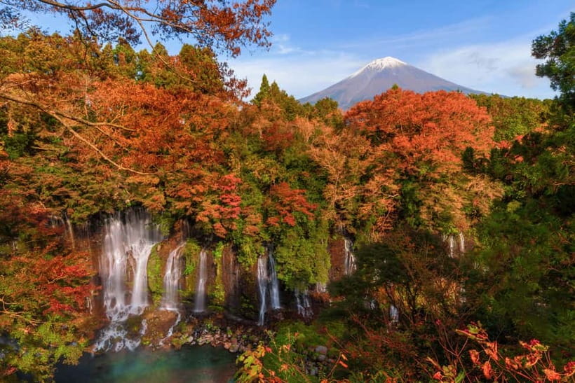 From Tokyo: Private Tour to Fuji/Hakone - Onsen, Art, Nature - The tea house pause and a taste of old Hakone