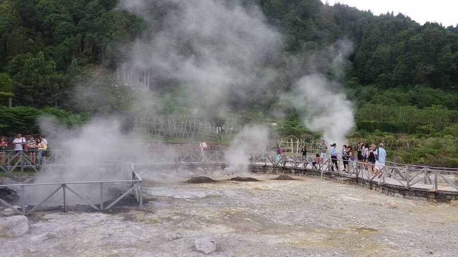 Full day Furnas | Hotsprings | Thermal Baths | Tea Factory - Vehicle size, language, and comfort