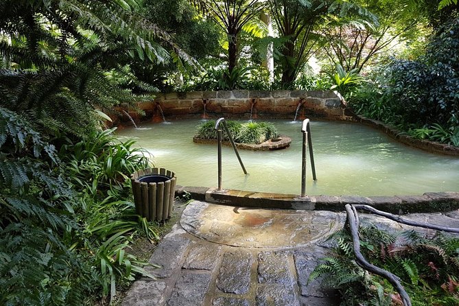 Full-Day Furnas Tour: Hot Springs, Traditional Lunch & Tea - What the $119.83 price really covers