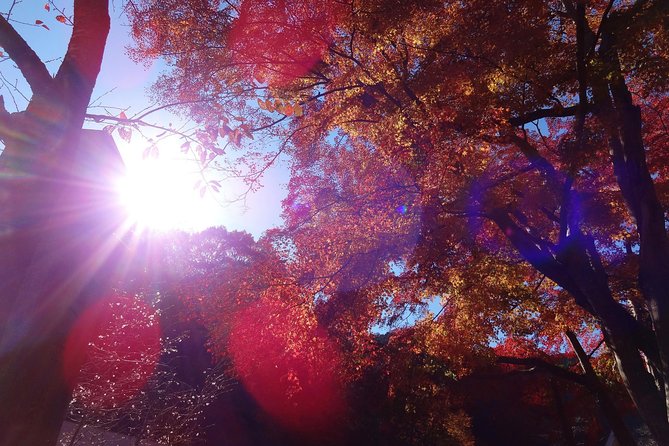 Full Day Hiking Tour at Mt.Takao including Hot Spring - A mountain escape only 50 kilometers from central Tokyo