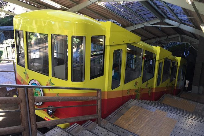 Full Day Hiking Tour at Mt.Takao including Hot Spring - Three hours among trees, wildlife, and mountain views