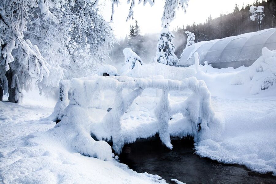 Full Day Ice Museum and Chena Hot Springs Tour - Is $200 a fair price?