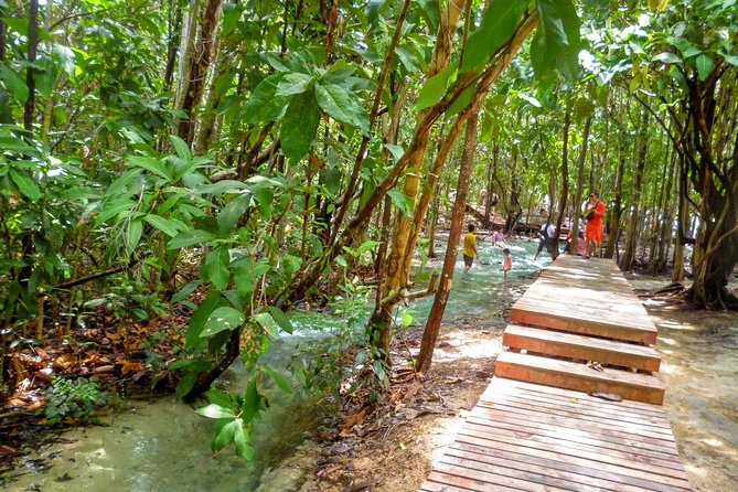 Full-Day Jungle Tour Including Tiger Cave Temple, Crystal Pool and Krabi Hot Springs - Practical tips for a smoother day