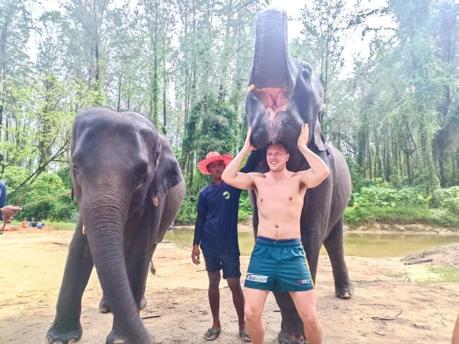 Full-Day Khaolak Highlights & Spa - Feeding and bathing the elephants is the main event