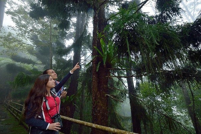 Full-Day Kinabalu Park and Poring Hot Spring Day Trip - What this day from Kota Kinabalu is really like