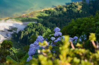 Furnas: Hot Springs, Crater Lake & Geothermal Wonders