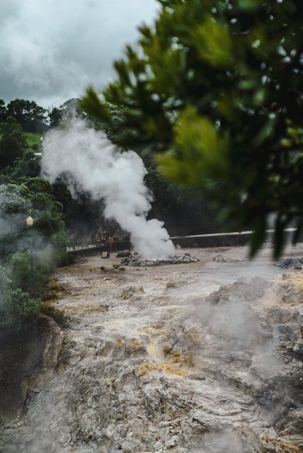 Furnas: Thermal Springs & Tea Plantation Day Tour with Lunch - Terra Nostra Park and the thermal pool