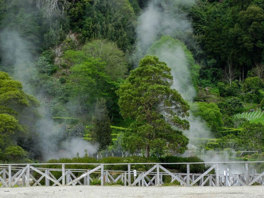 Furnas: Thermal Springs & Tea Plantation Day Tour with Lunch - Pickup, van travel, and the first views