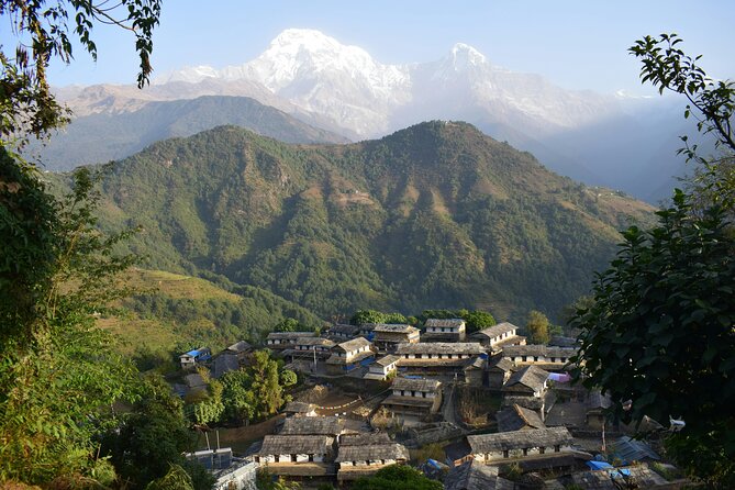 Ghorepani Ghandruk Wellness Yoga Trek - A mountain trek with a calmer rhythm