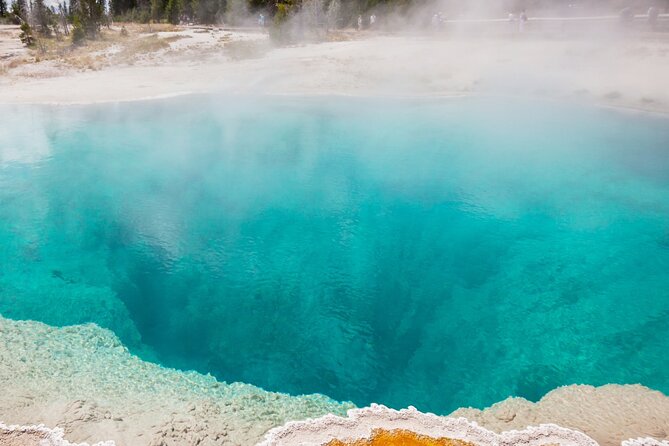 Guided Yellowstone Hot Spring & Geyser Basin Tour - Hayden Valley and the value of leaving room for wildlife