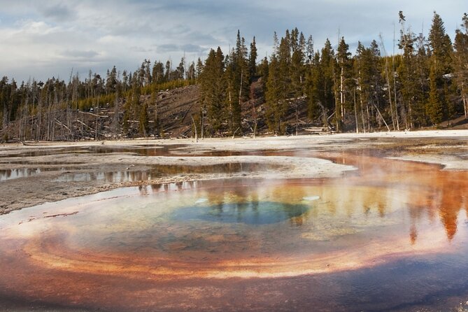 Guided Yellowstone Hot Spring & Geyser Basin Tour - Mud Volcano: bubbling ground with a rough edge