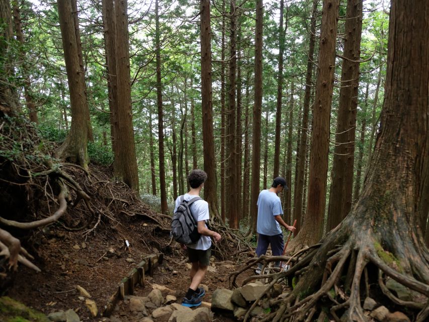 Hakone: Traverse the Hakone Caldera and Enjoy Onsen - Practical preparation for the day