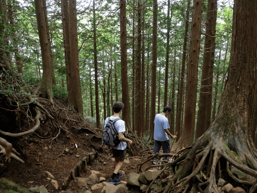 Hakone: Traverse the Hakone Caldera and Enjoy Onsen - Who should book this experience