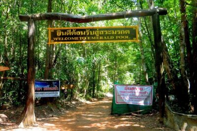 Half-Day Jungle Tour Including Crystal Pool and Krabi Hot Springs