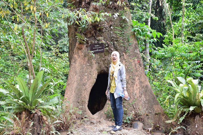 Half-Day Jungle Tour Including Crystal Pool and Krabi Hot Springs - Crowds, weather, and the practical details