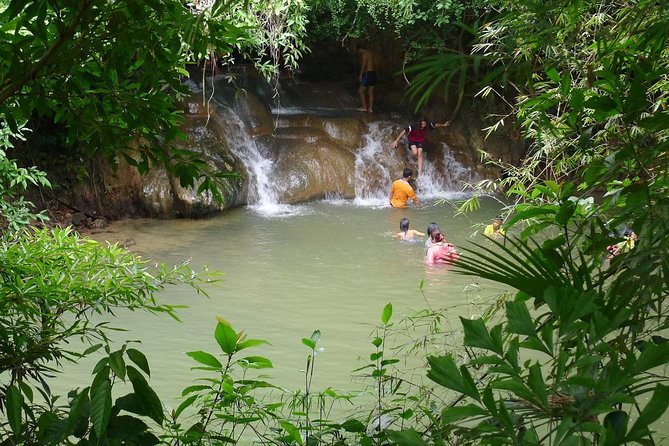 Half-Day Jungle Tour Including Crystal Pool and Krabi Hot Springs - Should you book the Krabi jungle tour?