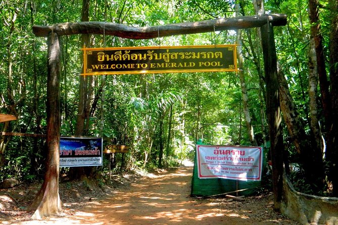 Half-Day Jungle Tour Including Crystal Pool and Krabi Hot Springs - Walking to Crystal Pool and Emerald Pool