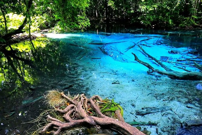 Half Day Jungle Tour to Emerald pool and Krabi Hot Spring - Two rainforest sights in one six-hour outing