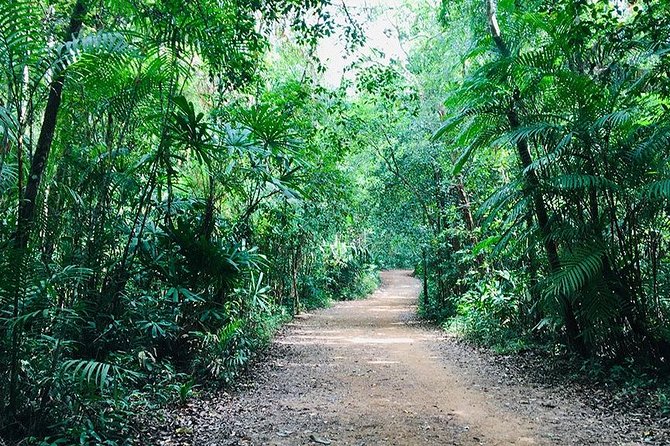 Half Day Jungle Tour to Emerald pool and Krabi Hot Spring - The road time is part of the price calculation