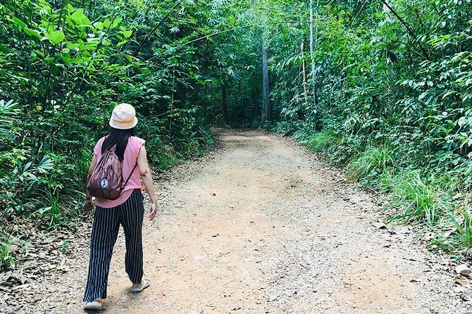 Half Day Jungle Tour to Emerald pool and Krabi Hot Spring - The real cost is closer to the headline price plus park admission